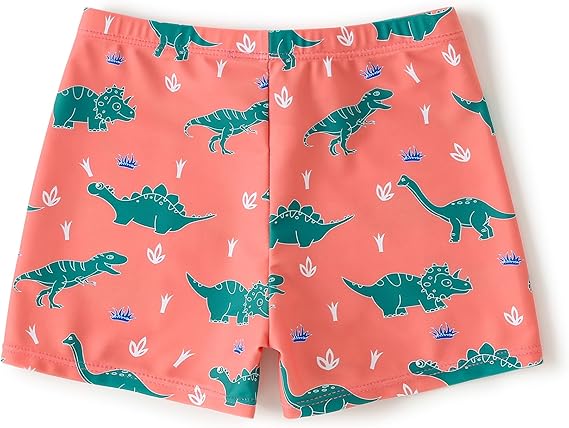 Boys Bathing Suit Swim Shorts with Built In Compression Liner