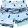 Boys Toddler Quick Dry Swim Shorts for Beach Swimming