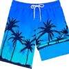 Boys Toddler Swim Trunks Quick Dry Beach Shorts Swimwear