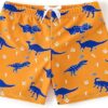 Soft Lined Boys Swim Trunks for Toddlers Kids Summer