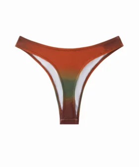 Back view of a high-cut ombre bikini bottom revealing the large white inner lining and seam construction.