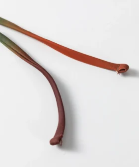 Macro close-up of the ends of two thin tubular ombre bikini tie strings, showing the folded and stitched tips.